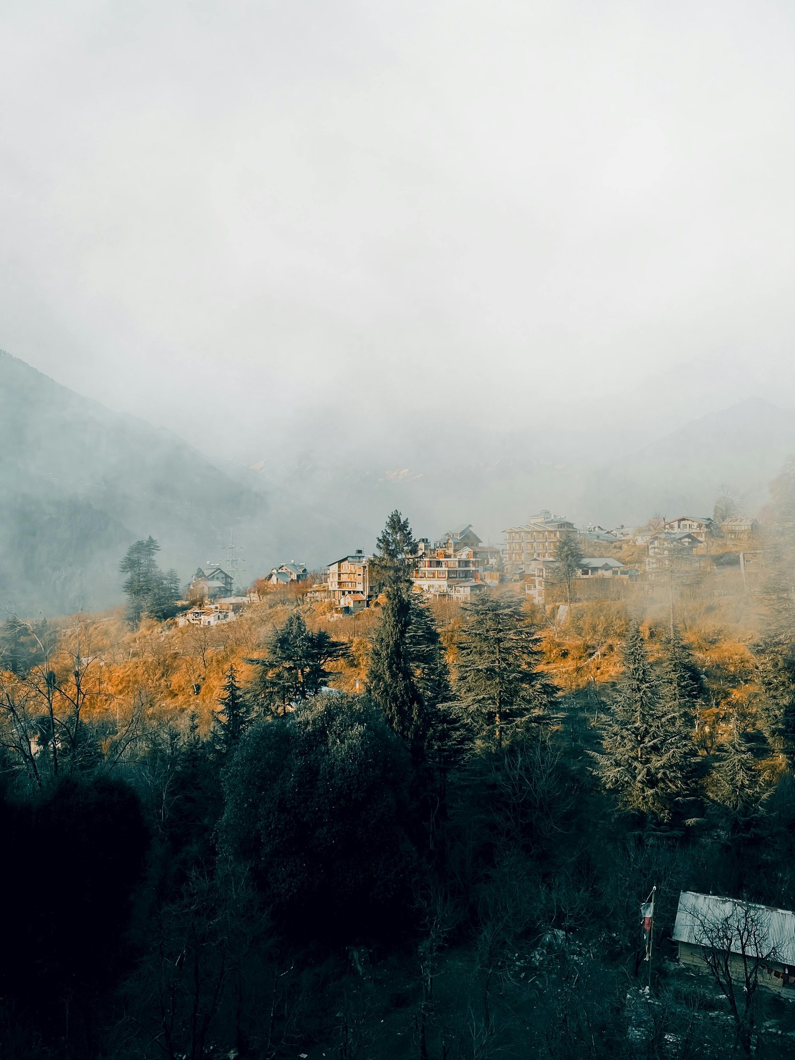 Manali Kasol